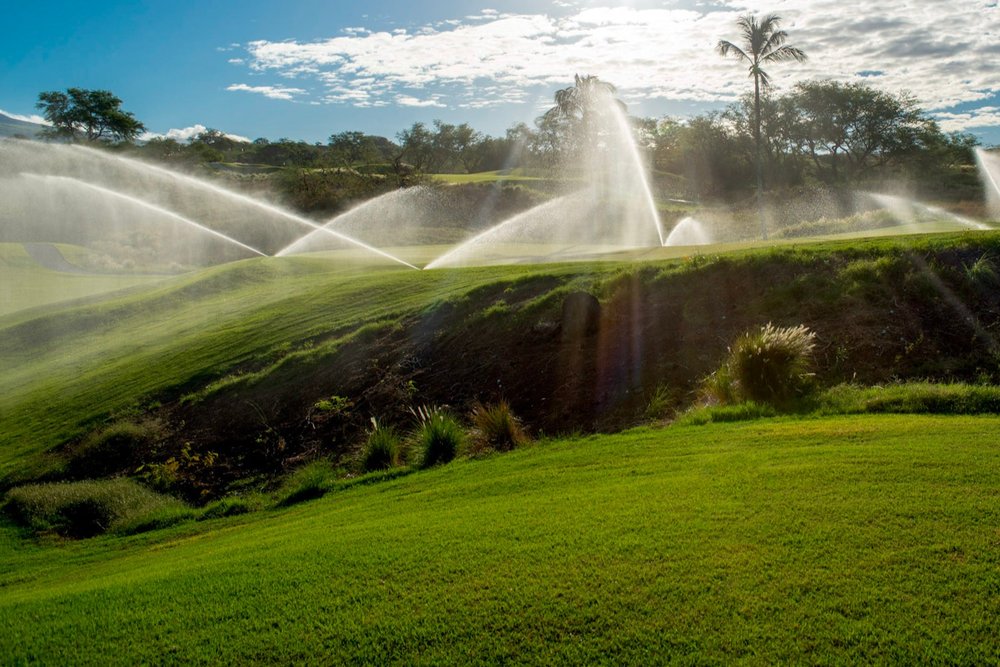 sprinklers.jpg